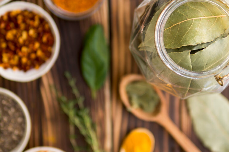 Chicano community health blending traditional remedies and modern healthcare practices